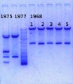 Thumbnail for version as of 17:14, 18 December 2013
