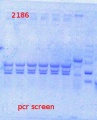 Thumbnail for version as of 13:25, 30 April 2014