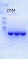Thumbnail for version as of 15:17, 12 June 2014