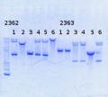 Thumbnail for version as of 12:21, 17 October 2014