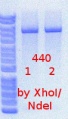 Thumbnail for version as of 16:34, 20 April 2015
