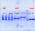 Thumbnail for version as of 15:38, 19 September 2013