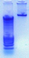 Thumbnail for version as of 18:01, 11 February 2011