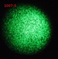 Thumbnail for version as of 15:32, 21 February 2012