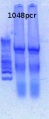 Thumbnail for version as of 15:04, 8 March 2013