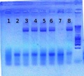 Thumbnail for version as of 14:07, 28 June 2012
