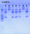 Thumbnail for version as of 14:33, 25 April 2013