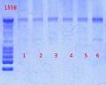 Thumbnail for version as of 15:47, 19 February 2013