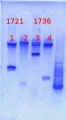 Thumbnail for version as of 14:20, 20 May 2013