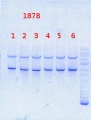 Thumbnail for version as of 10:52, 15 November 2013