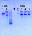 Thumbnail for version as of 14:08, 13 January 2014