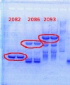 Thumbnail for version as of 11:38, 28 March 2014
