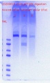 Thumbnail for version as of 12:38, 15 June 2020