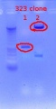 Thumbnail for version as of 14:35, 4 January 2012