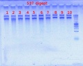 Thumbnail for version as of 13:31, 26 June 2012