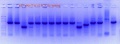 Thumbnail for version as of 17:52, 23 June 2017