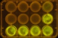 Thumbnail for version as of 19:12, 9 January 2012