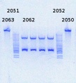 Thumbnail for version as of 15:24, 9 July 2014