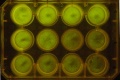 Thumbnail for version as of 11:31, 30 November 2011