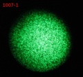 Thumbnail for version as of 15:31, 21 February 2012