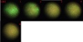 Thumbnail for version as of 13:07, 19 April 2012