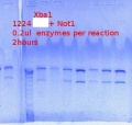 Thumbnail for version as of 15:23, 27 August 2012