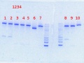 Thumbnail for version as of 08:48, 19 July 2013