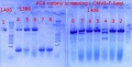 Thumbnail for version as of 14:43, 10 October 2012