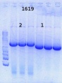 Thumbnail for version as of 11:23, 3 July 2013
