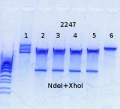 Thumbnail for version as of 16:00, 7 July 2014
