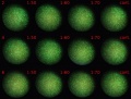 Thumbnail for version as of 11:45, 28 December 2011