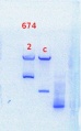 Thumbnail for version as of 14:41, 20 February 2014