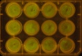 Thumbnail for version as of 12:19, 23 November 2011