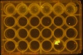 Thumbnail for version as of 10:04, 9 May 2016