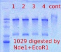 Thumbnail for version as of 13:49, 26 March 2012
