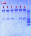 Thumbnail for version as of 15:15, 4 February 2013