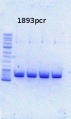 Thumbnail for version as of 15:07, 1 November 2013