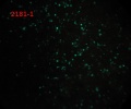 Thumbnail for version as of 15:16, 16 April 2014