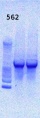 Thumbnail for version as of 16:48, 1 May 2013