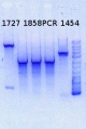 Thumbnail for version as of 13:22, 21 October 2013