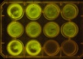 Thumbnail for version as of 11:29, 17 January 2012
