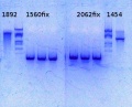 Thumbnail for version as of 12:38, 10 March 2014