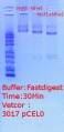 Thumbnail for version as of 21:14, 9 March 2018