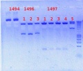 Thumbnail for version as of 11:16, 11 December 2012