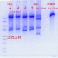 Thumbnail for version as of 16:08, 21 December 2018
