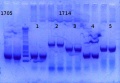 Thumbnail for version as of 14:40, 8 April 2013
