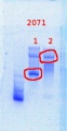 Thumbnail for version as of 12:54, 6 February 2014