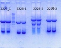 Thumbnail for version as of 11:06, 3 July 2014
