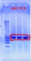 Thumbnail for version as of 16:27, 12 December 2011