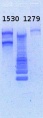 Thumbnail for version as of 16:41, 5 February 2013